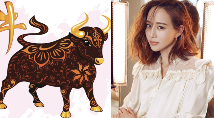 Life Flourishes: From 4-year-old, Wealthy Bloom to Falling into the Golden Abyss, Career Soars After New Year’s Eve