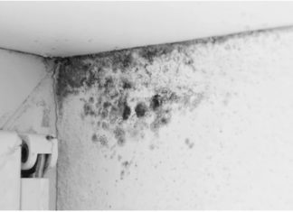 How to deal with mold and peeling walls: Affordable solutions for every homeowner