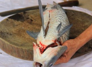 Recipe for Fish Soup with No Fishy Aftertaste