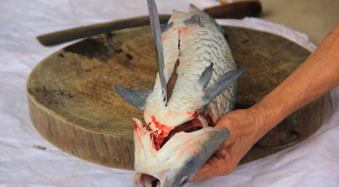 Recipe for Fish Soup with No Fishy Aftertaste