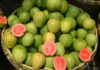 Buy the most delicious and crispy guavas, guaranteed to satisfy your taste buds