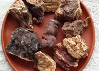 Does Hà Thủ Ô Water Aid in Promoting Black Hair Growth?