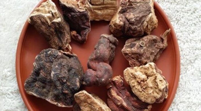 Does Hà Thủ Ô Water Aid in Promoting Black Hair Growth?