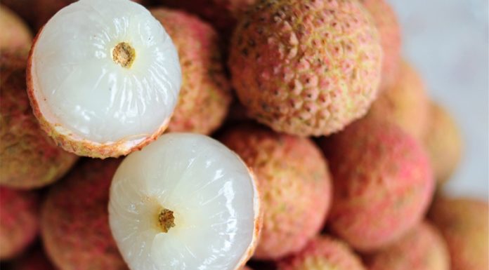 Tips for choosing fresh, thick-skinned lychees without worrying about worms