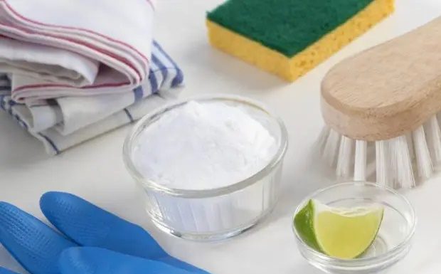 Clean Greasy Plastic Boxes without Dish Soap, Just Add a Pinch of Salt for Spotless Results