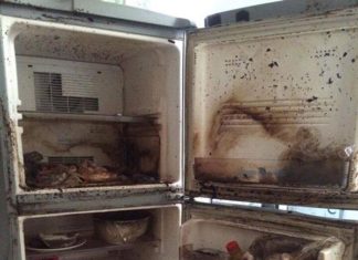 When is the best time to clean your refrigerator to prevent them from turning into bacterial breeding grounds in your home?