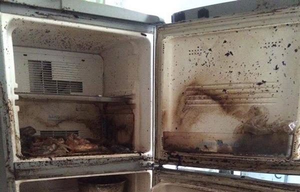 When is the best time to clean your refrigerator to prevent them from turning into bacterial breeding grounds in your home?