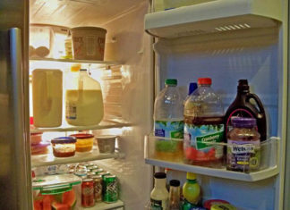 Investigating Causes, Harm and Solutions for a Loosely Closing Refrigerator