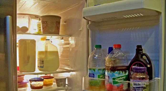 Investigating Causes, Harm and Solutions for a Loosely Closing Refrigerator