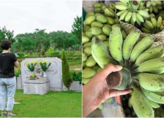 Ancestral Advice: Place bananas on the ancestral altar, but do not take them to the grave. Why?