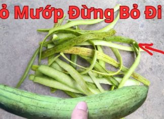 Do Not Throw Away Pumpkin Peel: Here’s How It Benefits You