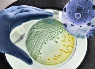 Dirty clogged showerhead breeds diseases, 2 simple ways to clean it sparkling like new