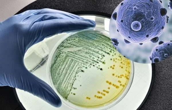 Dirty clogged showerhead breeds diseases, 2 simple ways to clean it sparkling like new