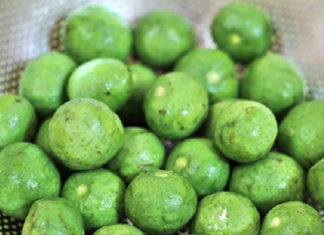 Simple méthode to keep your Asian persimmons fresh for a year