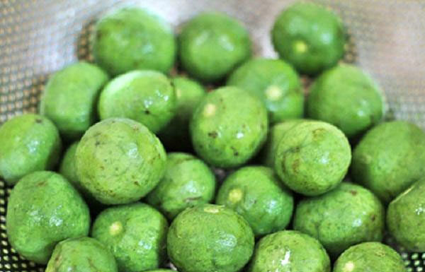 Simple méthode to keep your Asian persimmons fresh for a year