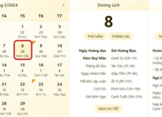 The Most Accurate Time and Lunar Calendar for February 8, 2024