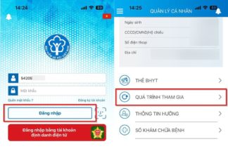 Save time by learning how to check your social insurance registration process on VssID effortlessly