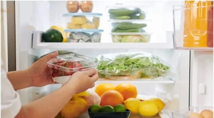 Safe Food Waste Storage and Handling Methods