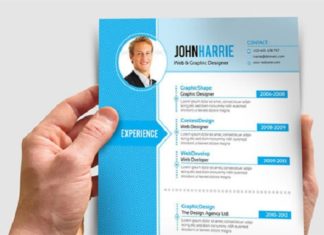 4 Creative and Unique Simple CV Layouts for Job Applications to Learn