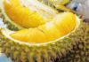 Discover the Delightful Flavors of 8 Types of Pure Vietnamese Fruits