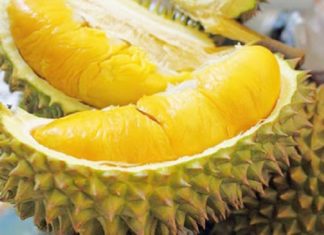 Discover the Delightful Flavors of 8 Types of Pure Vietnamese Fruits
