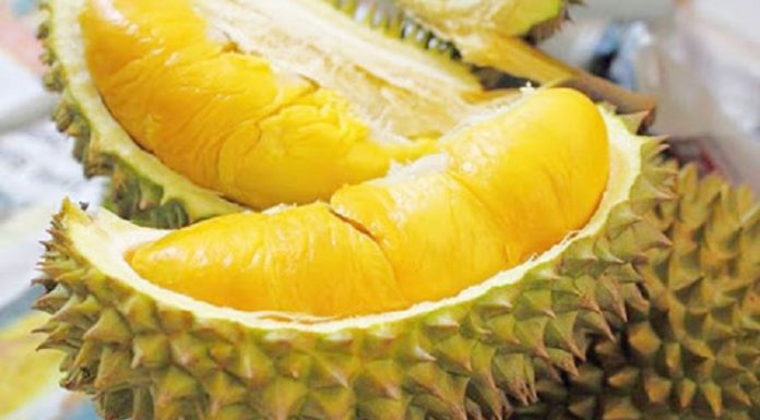 Discover the Delightful Flavors of 8 Types of Pure Vietnamese Fruits