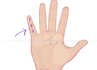 Finger Analysis: Determine Wealth or Poverty by Looking at the Little Finger