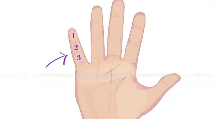 Finger Analysis: Determine Wealth or Poverty by Looking at the Little Finger