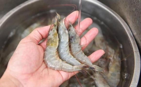 Boiling shrimp: the secret to perfectly tender and flavorful shrimp
