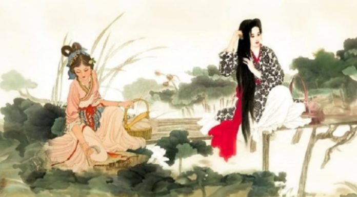 “Why do men puff out their chests while women bow their heads, and why does a humble family become wealthy?”