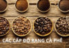 Difference between dark roast and light roast coffee: Which is better for your health, many people still do not know