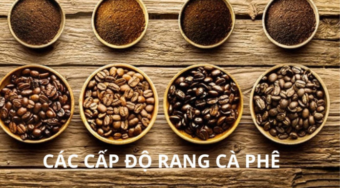 Difference between dark roast and light roast coffee: Which is better for your health, many people still do not know