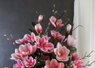 5 Types of Trees That Have Negative Effects on Health and Feng Shui, Not Suitable for Indoor Planting