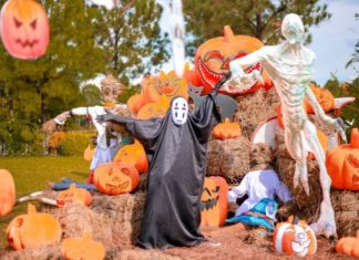 Collection of Engaging and Unique Halloween Statuses that Attract Thousands of Likes from Friends