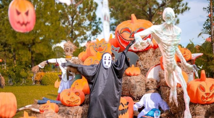 Collection of Engaging and Unique Halloween Statuses that Attract Thousands of Likes from Friends