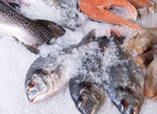 Quick defrosting tips for flavorful meat and fish