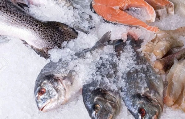 Quick defrosting tips for flavorful meat and fish