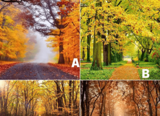 The Mind Unveiled: Uncovering the Secret Admirer Within