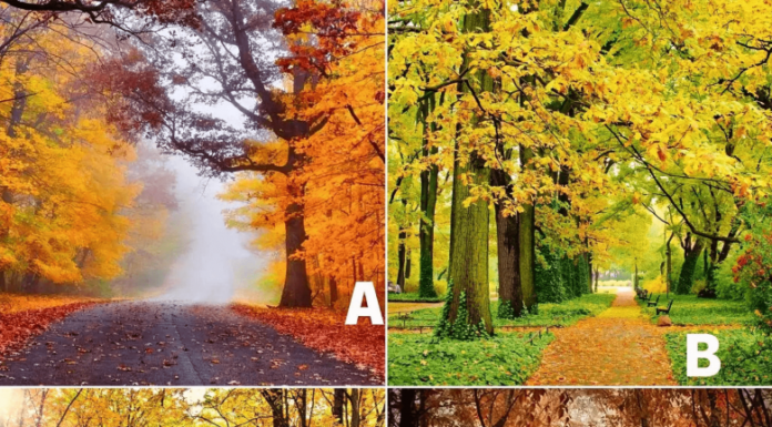 The Mind Unveiled: Uncovering the Secret Admirer Within