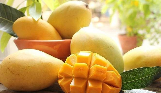 Vitamin C and A Fruit: More Than Oranges and Grapefruits, A Taste Everyone Enjoys