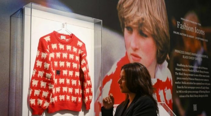 The Auction of Princess Diana’s Dress: What Sets It Apart?