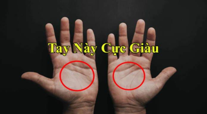 The Wealthy Trait That Both Men and Women Possess: Having These 3 Lines on the Palm