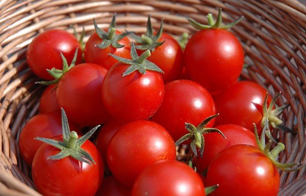 The most effective way to store tomatoes without worrying about spoilage