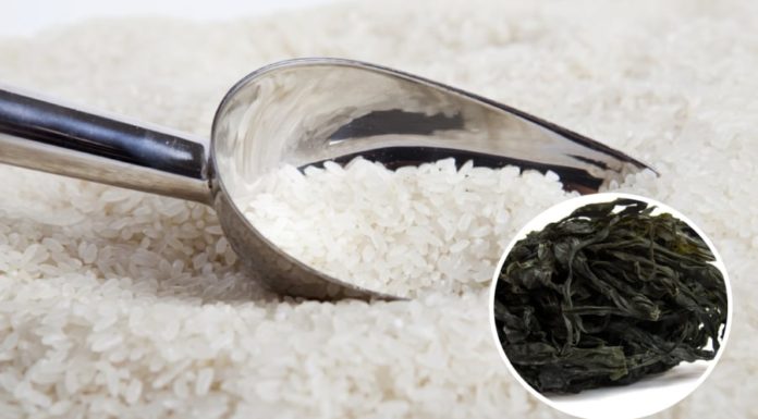 Keep Rice Fresh and Mold-Free by Storing it with this Moisture Absorbing Device