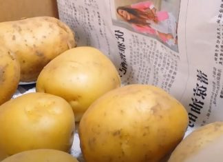Preserve the freshness of potatoes with this simple trick and avoid storing them in the fridge, no more sprouting even when kept for a long time.