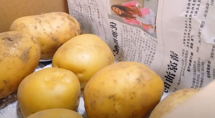 Preserve the freshness of potatoes with this simple trick and avoid storing them in the fridge, no more sprouting even when kept for a long time.