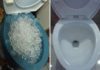 Surprising advantages of adding a bag of ice to your toilet