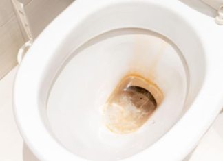 Dirty, Thick Yellow Stained Toilet Bowls: Just Sprinkle This Handful Into the Flush and It’s Sparkling Clean