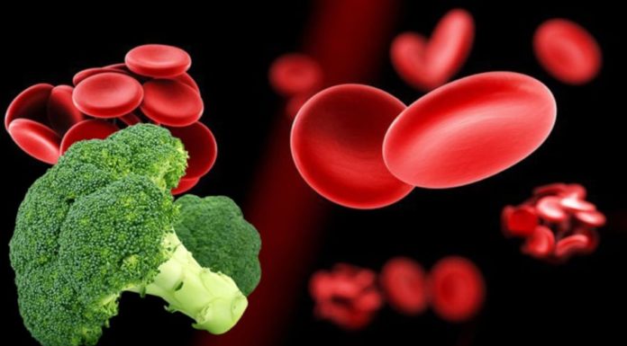 Green Cabbage Soup: Not Only Fighting Cancer but Also Supporting Stroke Treatment