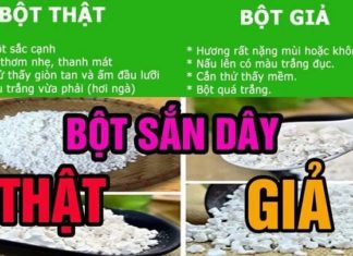 Differentiating Genuine and Fake Cassava Powder